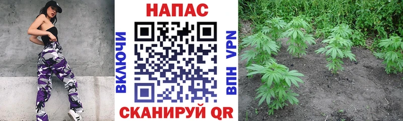 где найти наркотики  Хвалынск  Марихуана марихуана 
